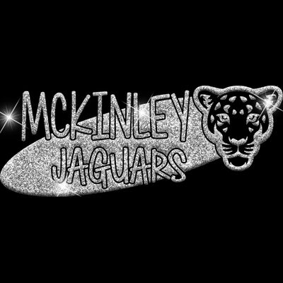 GLT100 SILVER GLITTER Thumbnail