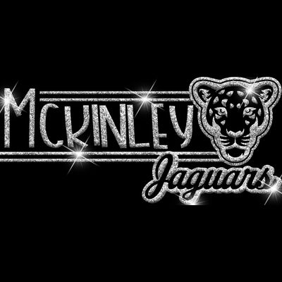 GLT101 SILVER GLITTER Thumbnail