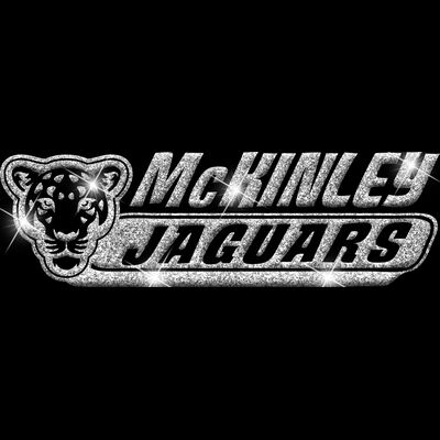 GLT102 SILVER GLITTER Thumbnail