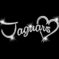 GLT6 SILVER GLITTER Thumbnail