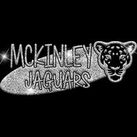 GLT100 SILVER GLITTER Thumbnail