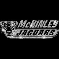 GLT102 SILVER GLITTER Thumbnail