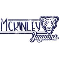 GLT101 BLUE GLITTER Thumbnail